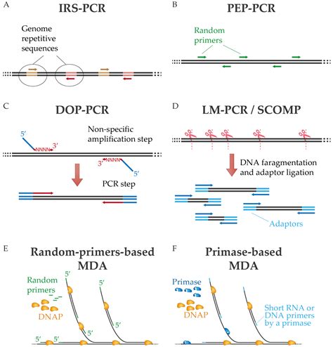 neb taq polymerase|why is taq polymerase used in pcr.